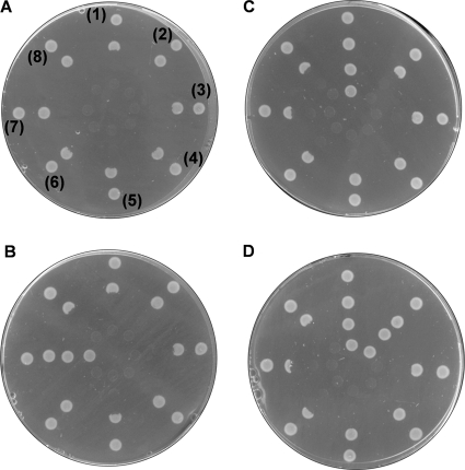 Fig. 3.