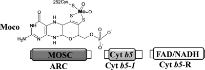 Fig. 9.