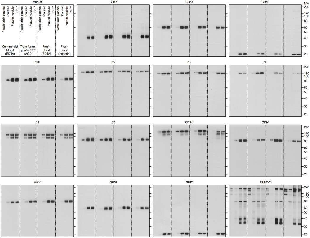 Extended Data Fig. 3