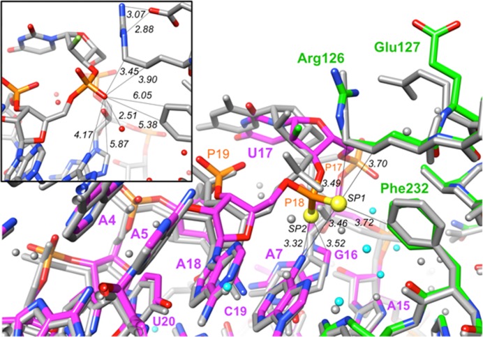 Figure 6.