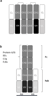 Fig 7