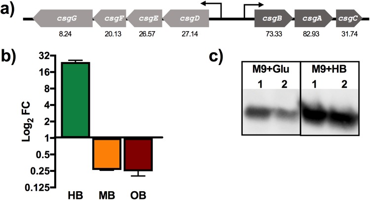 FIG 2