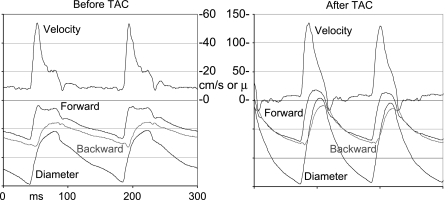 Fig. 9.