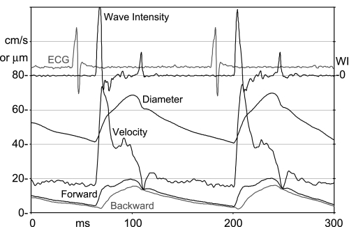 Fig. 8.