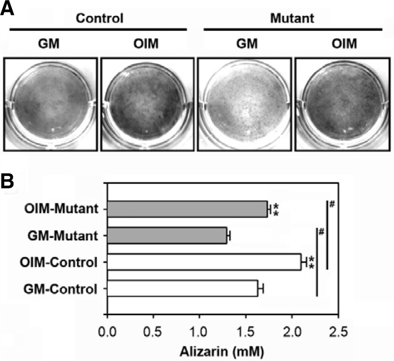 Fig. 4.