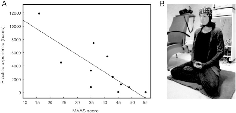 Fig. 1