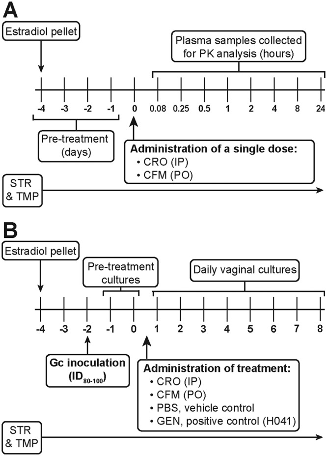 FIG 1