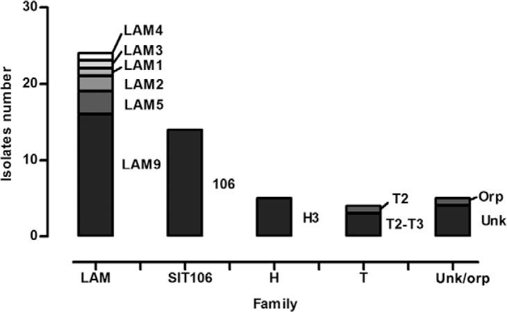 Spoligotyping profiles of 53 multidrug-resistant tuberculosis isolates
grouped by families. H: Haarlem; LAM: Latin American Mediterranean; SIT:
spoligotype international type; Unk/orp: unknown and orphan.