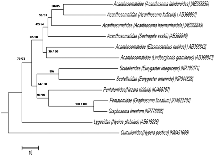 Figure 6