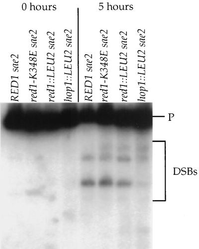 FIG. 7