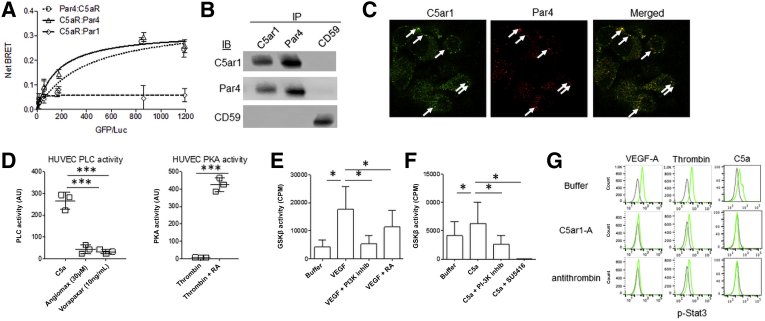 Figure 5