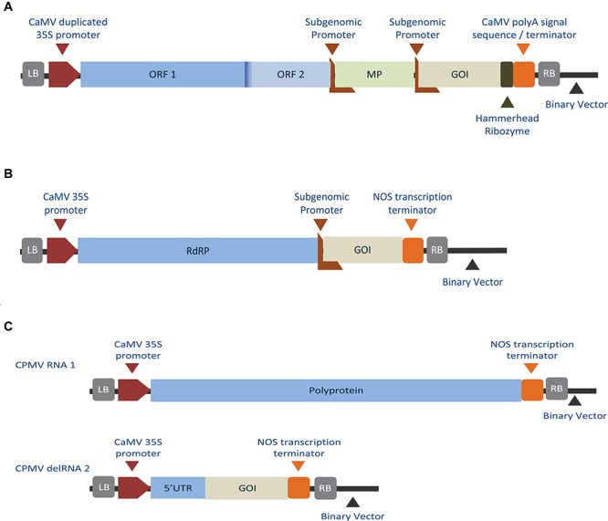 FIGURE 2