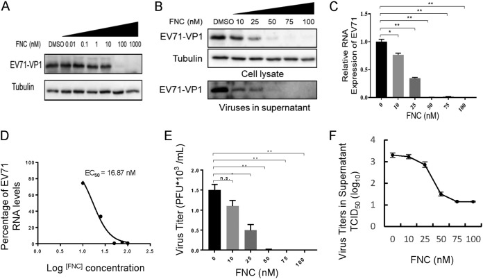 FIG 3