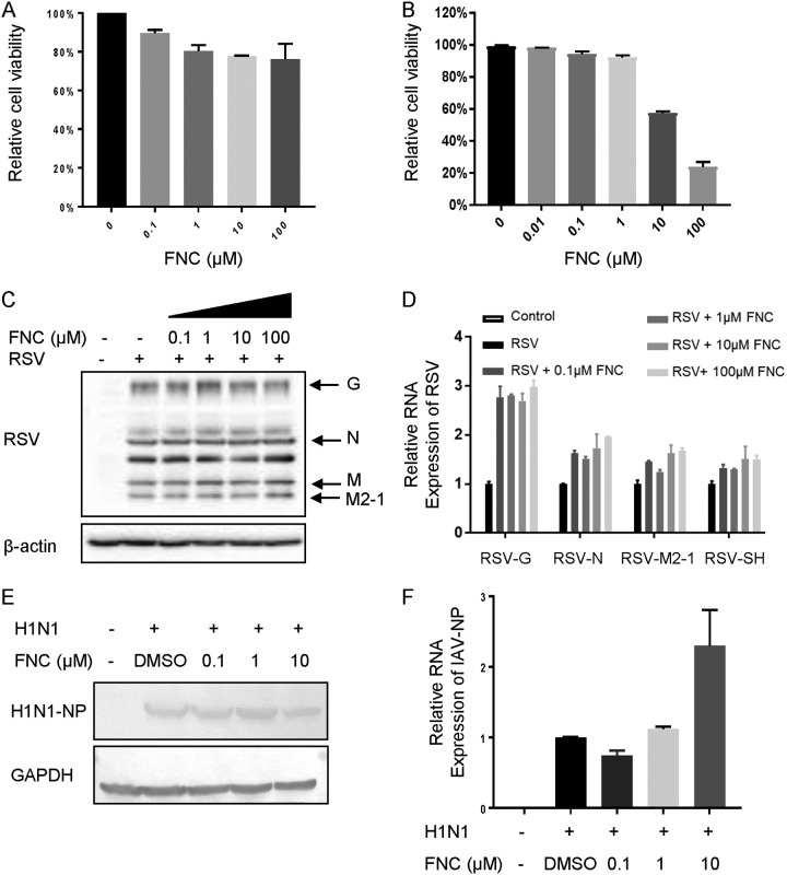 FIG 6