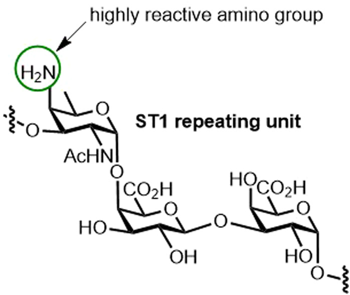 Figure 4.