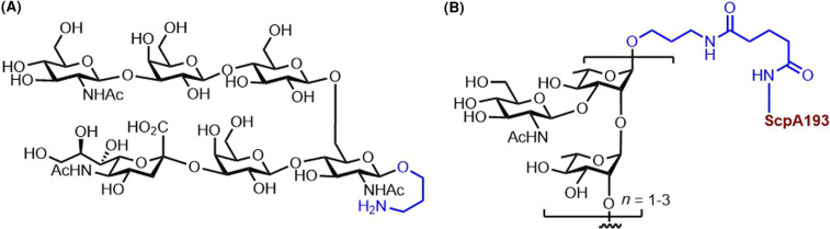 Figure 6.