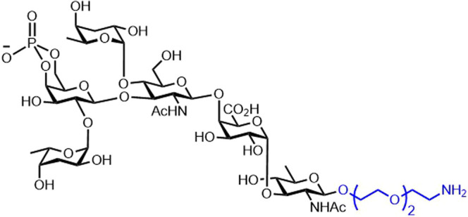 Figure 11.