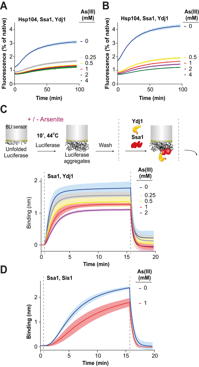 Figure 6