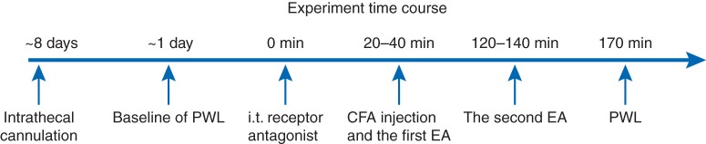 Fig 1