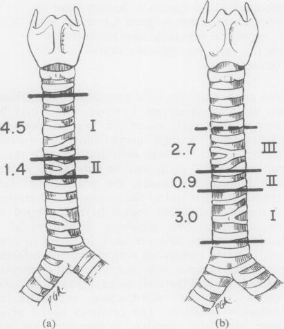 graphic file with name thorax00132-0002-a.jpg