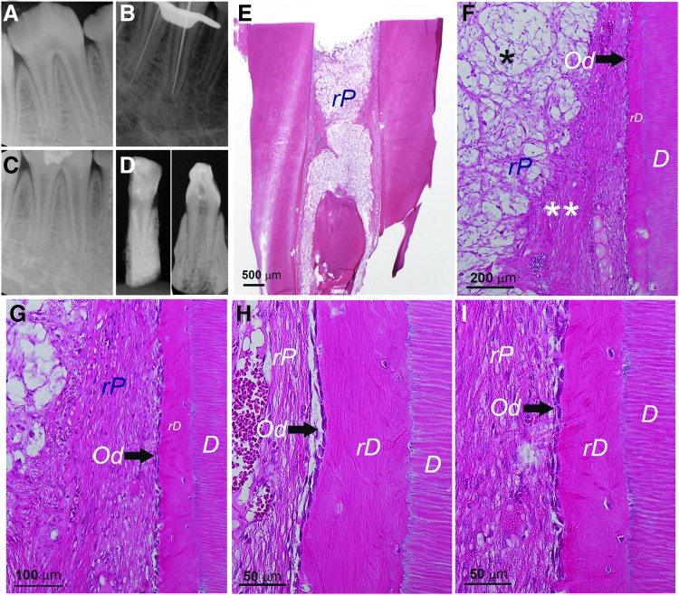 FIG. 9.