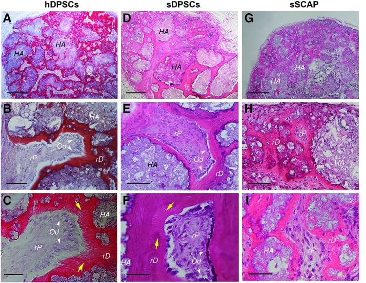 FIG. 2.