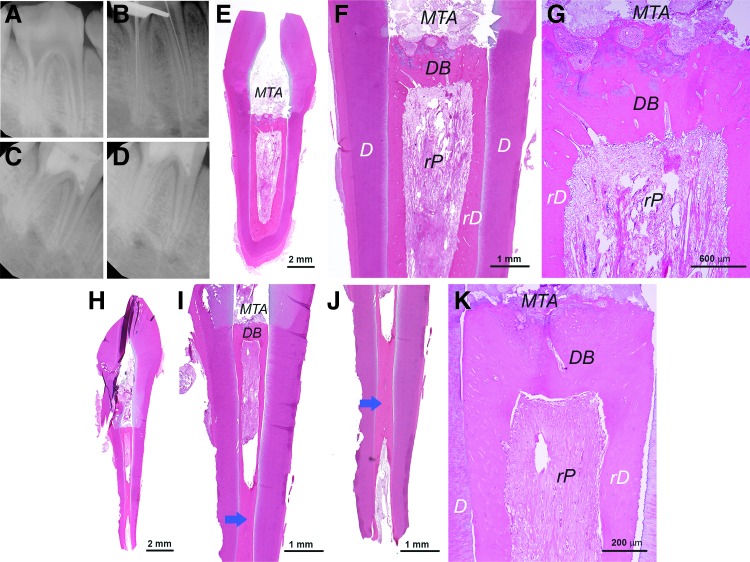 FIG. 7.