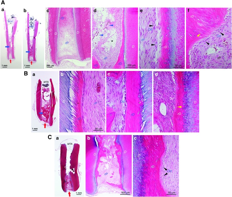 FIG. 5.