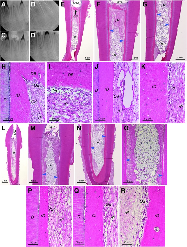 FIG. 6.