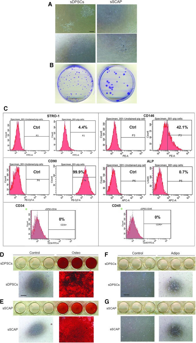 FIG. 1.