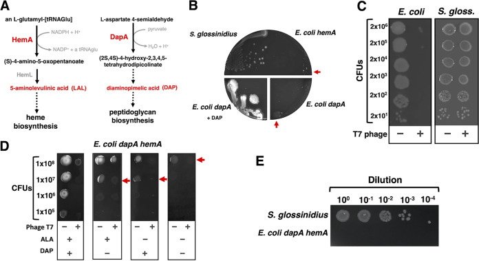 FIG 2