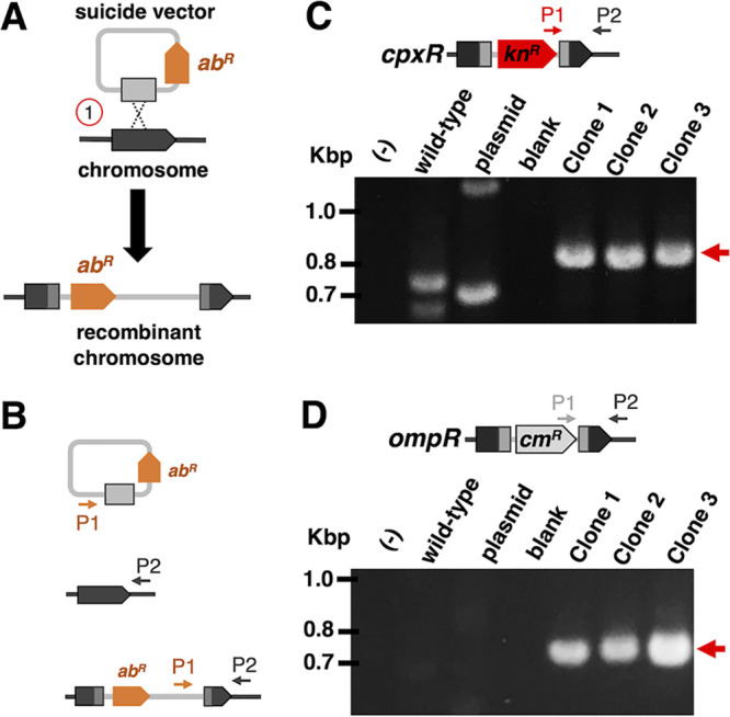 FIG 4