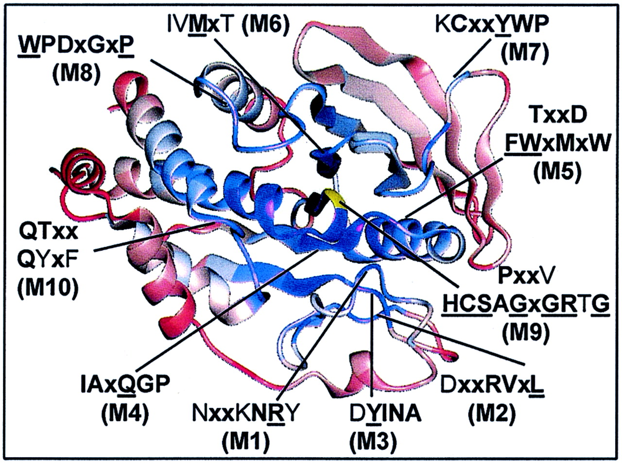 FIG. 6