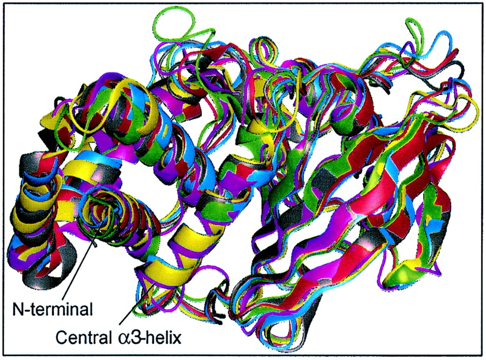 FIG. 4