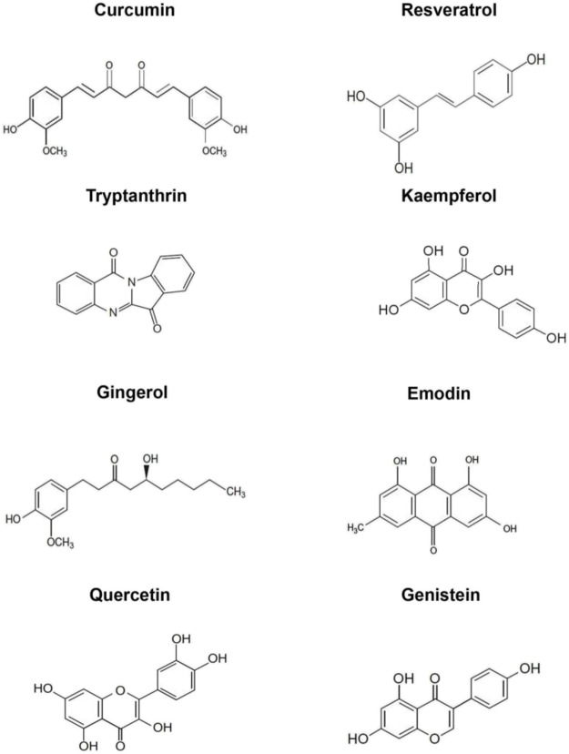 FIGURE 3