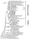 FIG. 3
