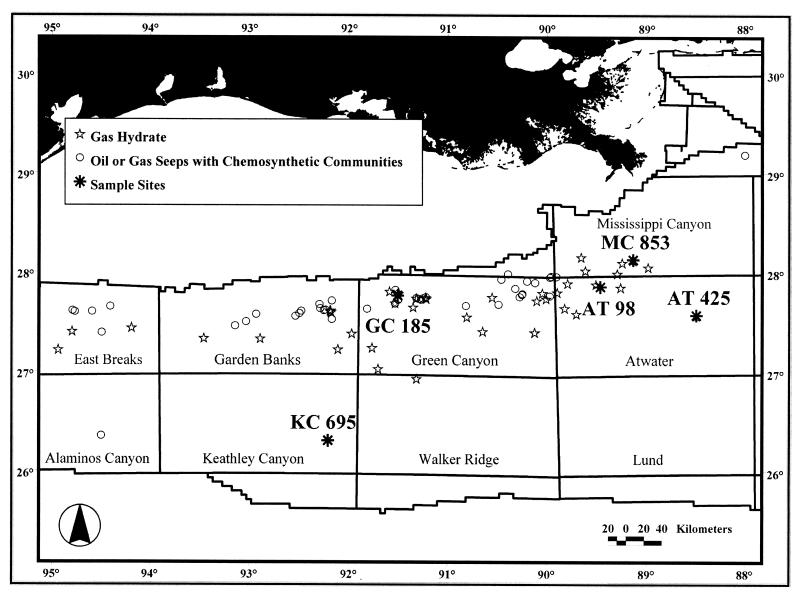 FIG. 1