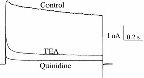 Fig. 1