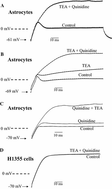 Fig. 6