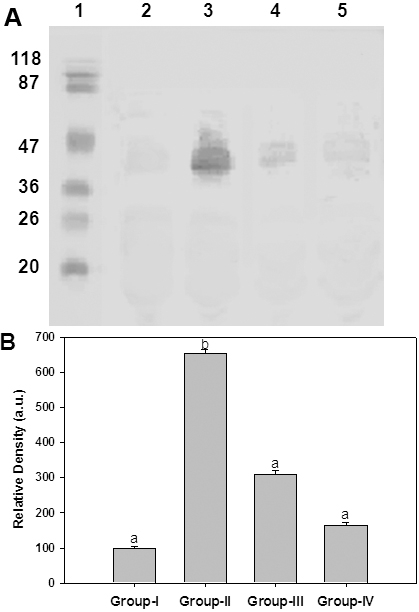 Figure 5