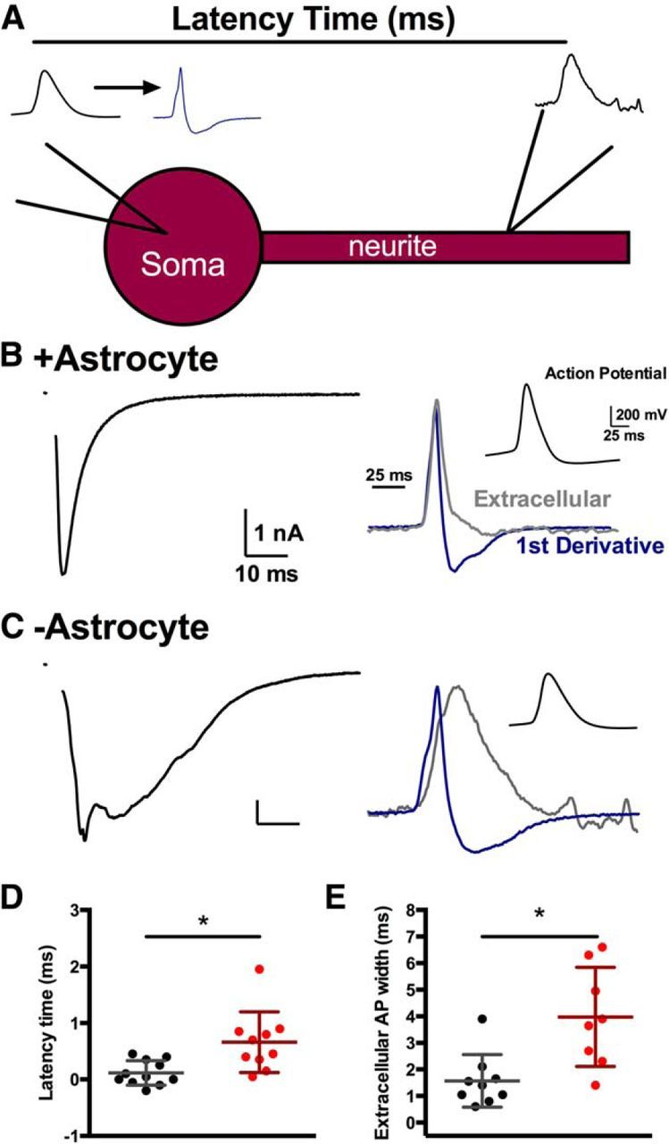 Figure 9.