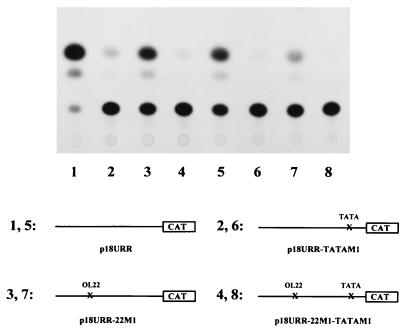 FIG. 8