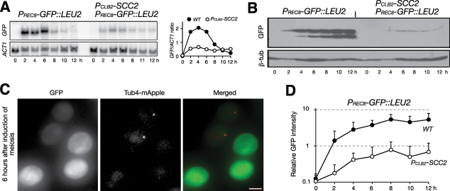 FIGURE 6: