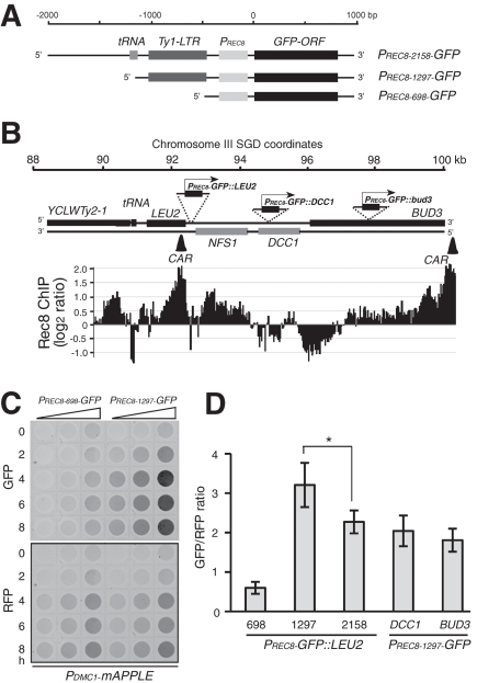 FIGURE 5: