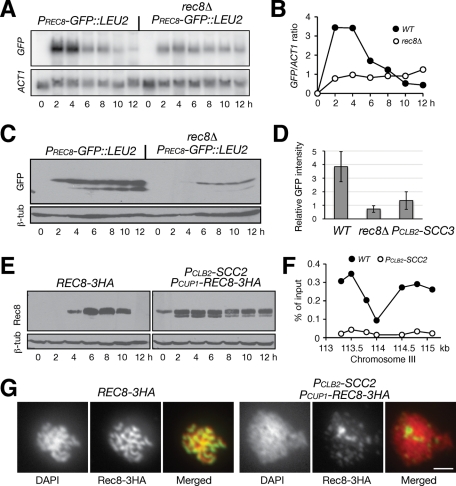 FIGURE 7: