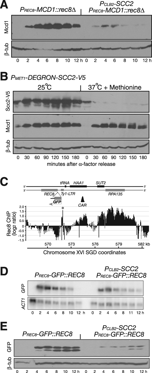 FIGURE 4: