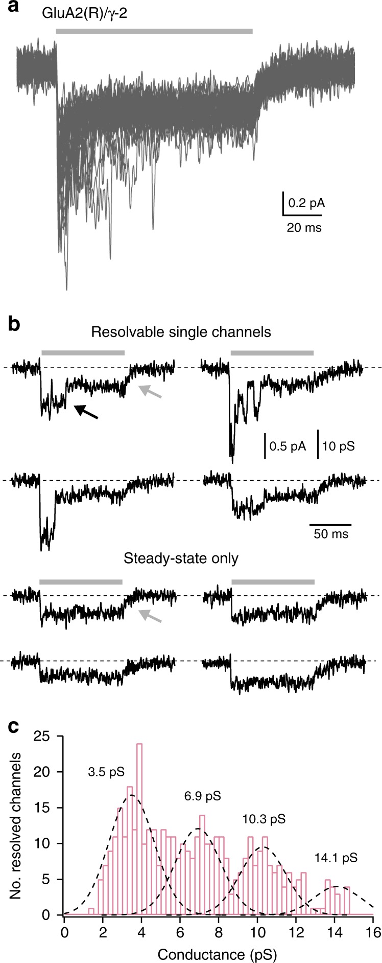 Fig. 2