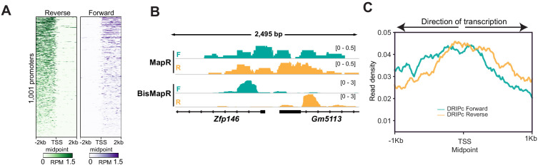 Figure 3—figure supplement 1.