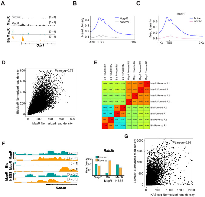 Figure 2—figure supplement 1.