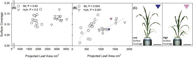 Fig. 5.